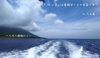 240709-kyotarezomi02.jpg