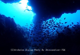 240714-sakamo-02idesari.jpg