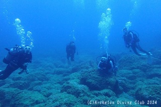 240721-snap.jpg