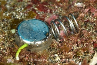 240806-blog.jpg