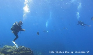 240912-snap.jpg