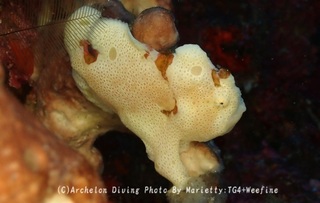 240920-mari-01oomon.jpg