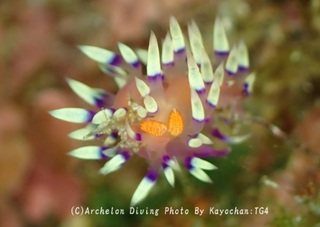 240923-kay-06adeyaka.jpg