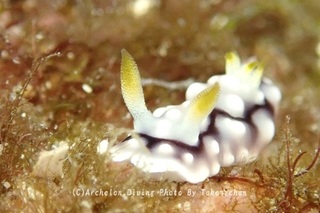 240928-take-01kika.jpg