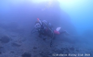 241007-owd02.jpg