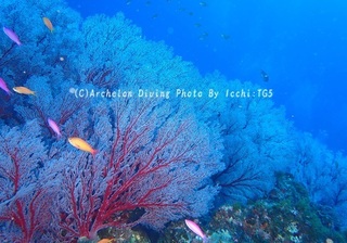 241012-ichi-01isoba.jpg