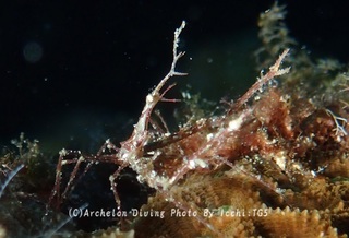 241012-ichi-05kubinaga.jpg
