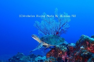 241012-shi-04ao.jpg