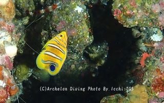 241013-ichi-01nishiki.jpg