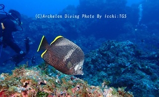 241013-ichi-03yuzen.jpg