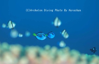 241020-hata-01dori.jpg