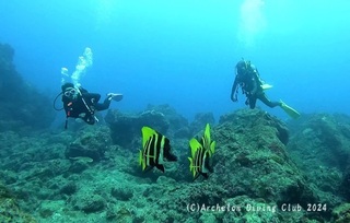 241024-kyotarezo.jpg