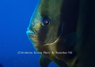 241025-kana-07tubame.jpg