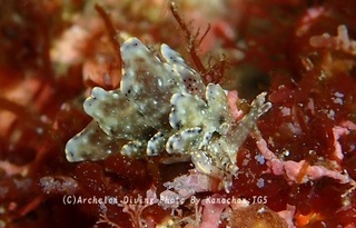 241025-kana-09tensen.jpg