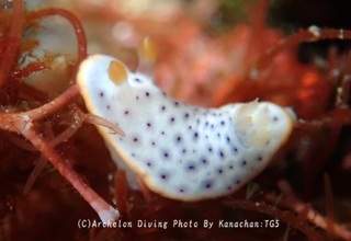 241025-kana-11monko.jpg