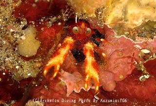 241026-matsu-02robokon.jpg