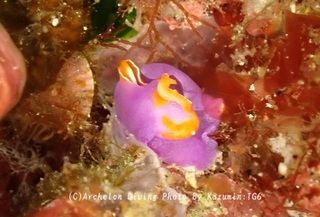 241026-matsu-03murasaki.jpg