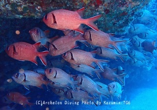 241027-kazm-03namimatu.jpg