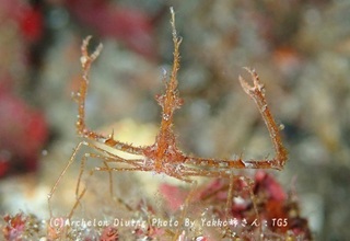 241105-yas-03kubinaga.jpg