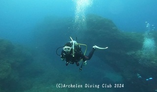 241108-owd01.jpg