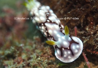 241111-shin-03kika.jpg