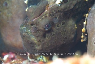 241112-shi-03kaeri.jpg
