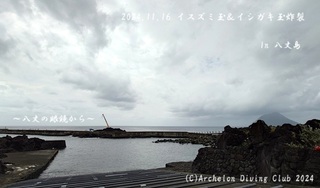 241116-yyy02.jpg