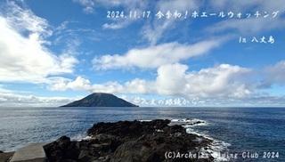 241117-ynn02.jpg