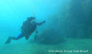 241121-owd01.jpg