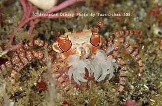241122-take-03kinchak.jpg