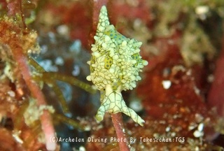 241122-take-05tengan.jpg