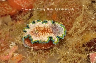 241123-emi-02monja.jpg