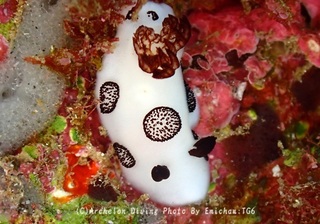 241123-emi-07buchi.jpg