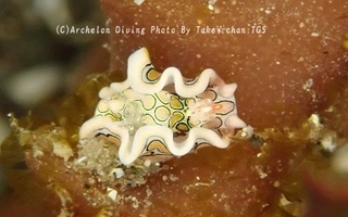 241123-take-04toumon.jpg