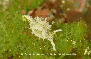 241123-take-05tengan.jpg