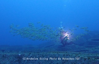 241129-ooym-06naka.jpg