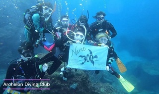241206-move-s02.jpg