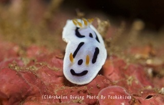 241206-yosk-04daiana.jpg