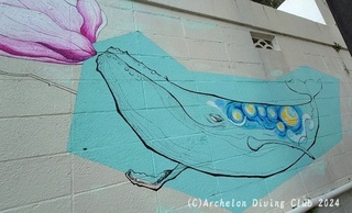 241207-blog.jpg