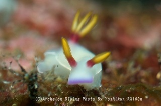 241207-yosk-04zouge.jpg