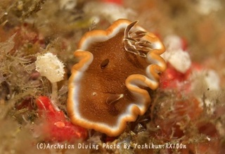 241207-yosk-08kyara.jpg