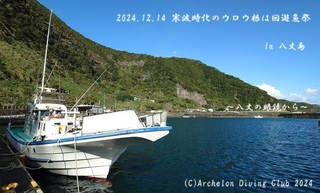 241214-uuu02.jpg