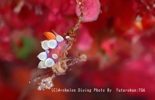 241215-sek-03adeyaka.jpg