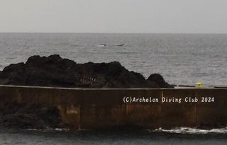241219-blog.jpg