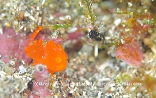 241219-har-05irokae.jpg