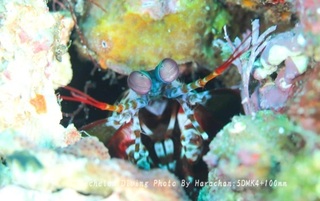241220-har-04monhana.jpg