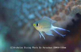241220-har-06maru.jpg
