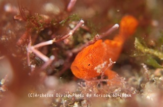 241221-nori-04irokaer.jpg