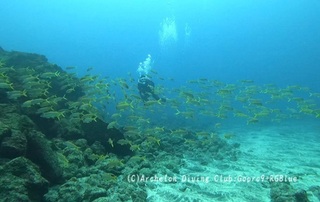 241226-snap.jpg