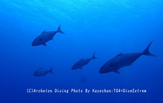 241228-kayo-02kanpa.jpg